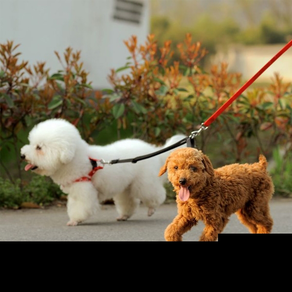 До 2015 Најлон Двојно Двојно Куче Спојка Близнак Доведе 2 Начин Два Пет Кучиња Одење Поводник Безбедност