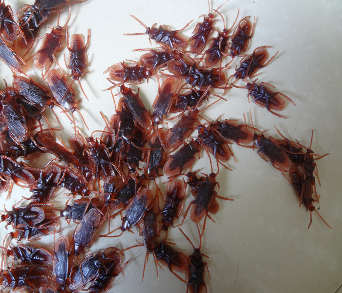 Април Будала е Ден Играчки Слабо целото лице дома тавтабита симулација roach страшно инсекти