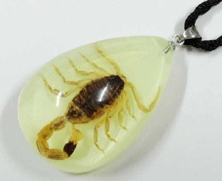 БЕСПЛАТЕН ПРЕВОЗОТ 6 вистински шкорпија инсекти мода светат во темница капка накит