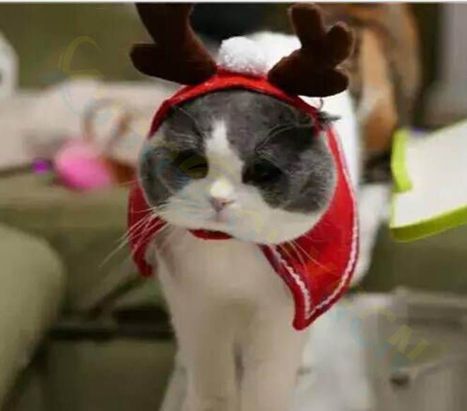 Божиќ милениче Дедо Мраз шапка куче Божиќ elk Headdress мачка капа Божиќ партија подарок слатки Украси краток кадифен