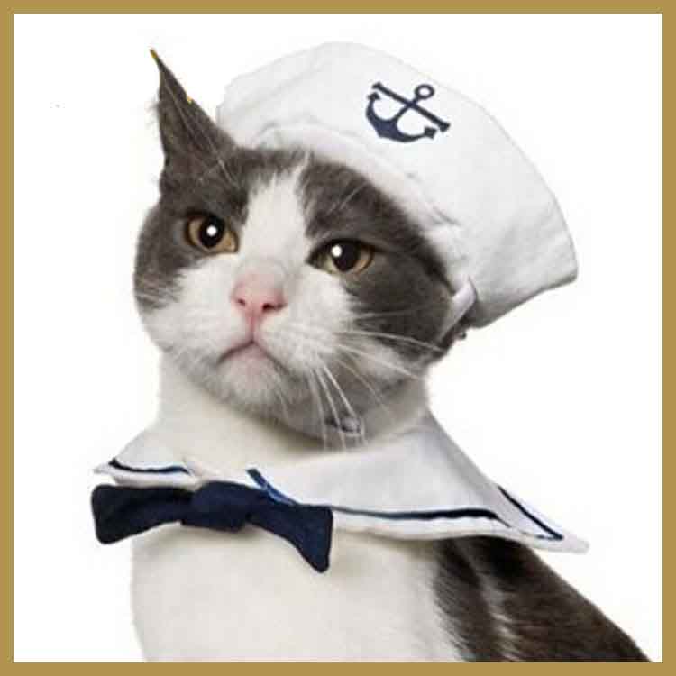 Смешно Милениче мачка Маче шапка Кејп куче Морнар костим облека одговараат со капа и Лак Вратоврска за куче и мачка Миленичиња облека accesory