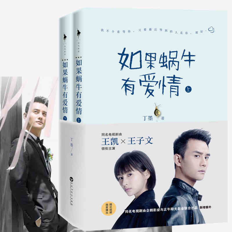 Кинески популарните романи слатка љубов приказни за возрасни Детектив љубов фикција книга од Dingmo најдобри продавачот -Ако полжав има љубов