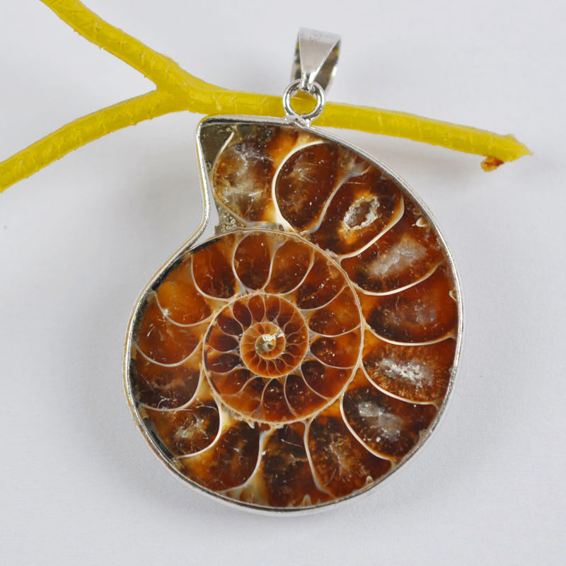 Природни Ammonite Фосилни Пломба ГЕМ Pendant Накит Мода S560