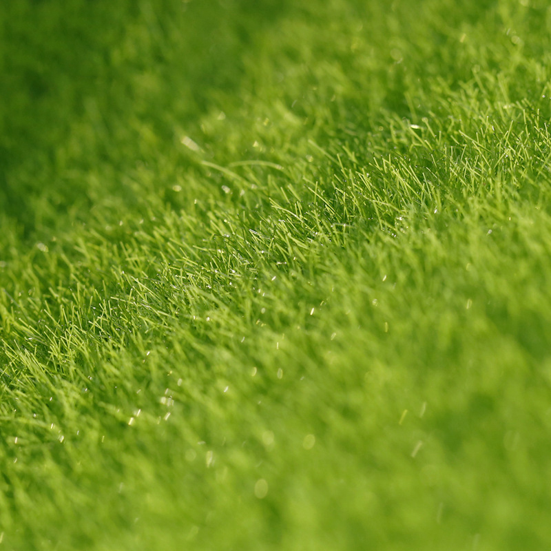 5pcs зелени Пасишта самовила градина минијатури тревник минијатури за terrariums 15cm*15cm минијатурни Додатоци дома