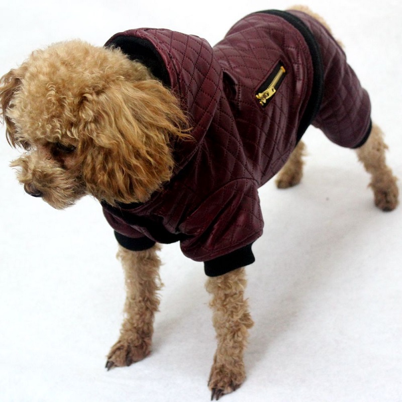 Нови миленичиња куче зимска облека топол капут и Кожна јакна кој се одвојува два дела четири нозе куче палта јакни за мали кучиња облека