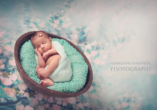 Цветни petal потекло новороденче реквизити и backdrops цвет фотографија позадина за фото студио Бебе СМ-5161