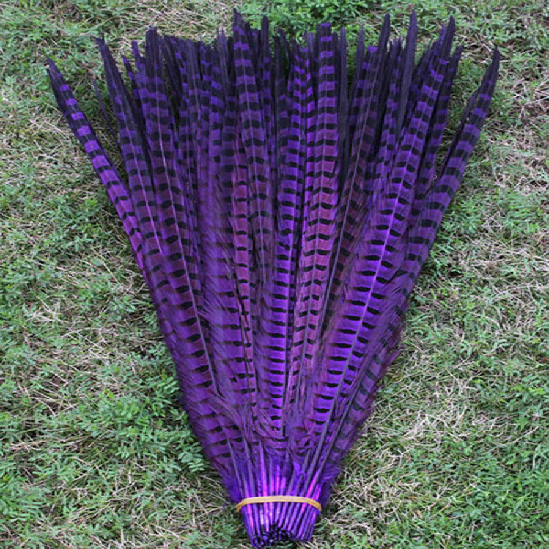 100 КОМПЈУТЕРИ висок квалитет на Природен виолетова боја pheasant опашка пердуви 20-22 инчи / 50 до 55 см