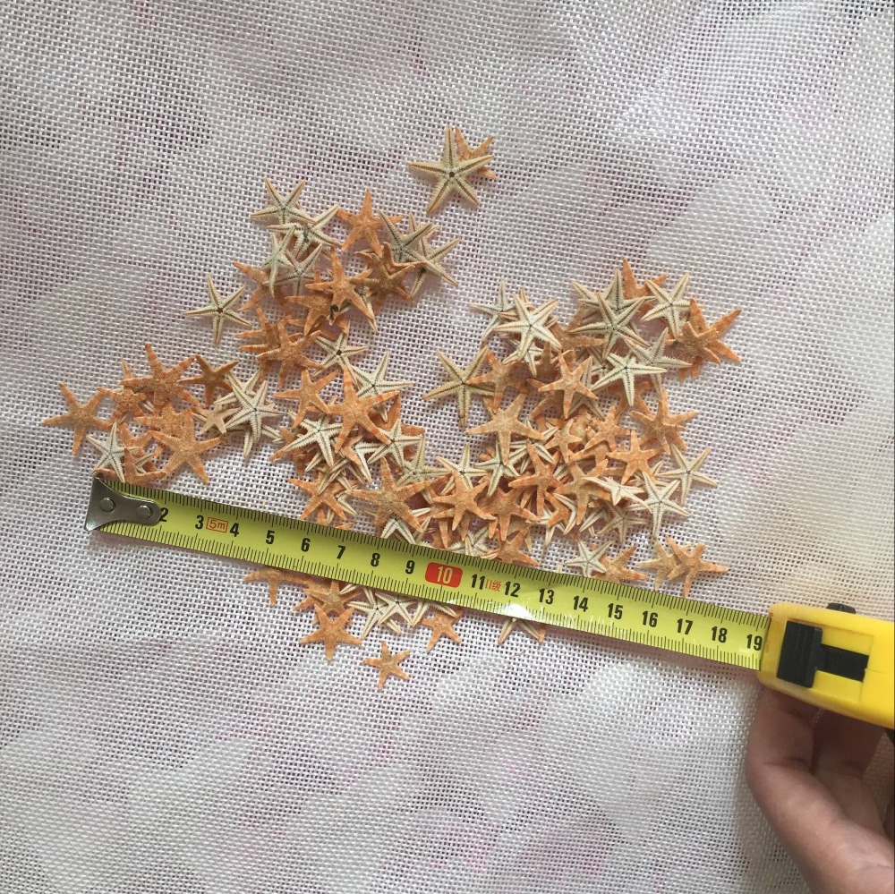 10pcs/многу Природни беж мала морска ѕвезда пети школка derlook yangtz декорација diy морска ѕвезда 1-10cm
