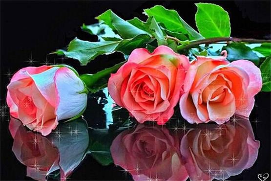 КНА 5D Diy Дијамант Сликарство Целосна Мозаик Рака Печатени Три Рози, Цветови, Везови Слики Кристал Декор Занаети