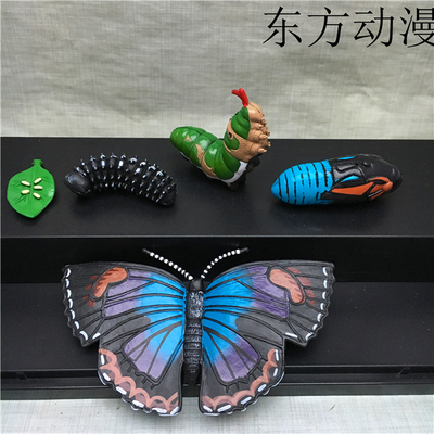 пвц слика Вистински модел за симулација на играчка пеперутка животен циклус 5PCS/ set