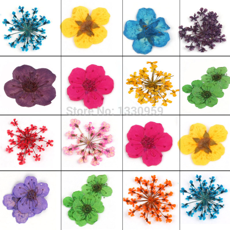 Топла Продажба 12 Различни Исушени Цвеќиња Помине Уметност Декорација За УВ Гел за на доградба на Акрилни Нокти Совети
