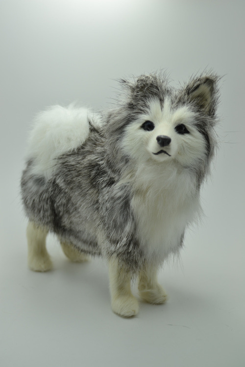 симпатична мала симулација husky куче играчка занаетите lifelike husky кукла подарок за 16x6x15cm