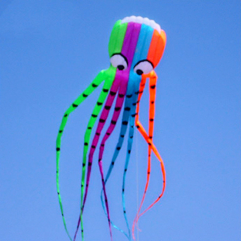 8 m Големи Coloreful Октопод Змејот Нов Висок Квалитет на Софтвер Моќ Октопод Змејот Добра Летање Отворено Спортски Забава