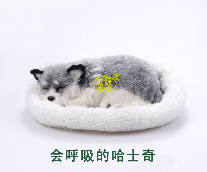 Huskie Сибирскиот Husky разгалено petz милениче колега дишење куче симпатична играчка спиење милениче emulational мини